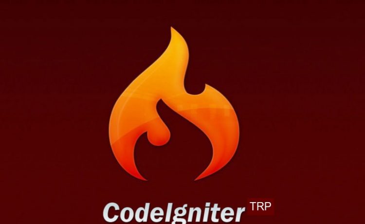 How to use sessions and other libraries in codeigniter?
