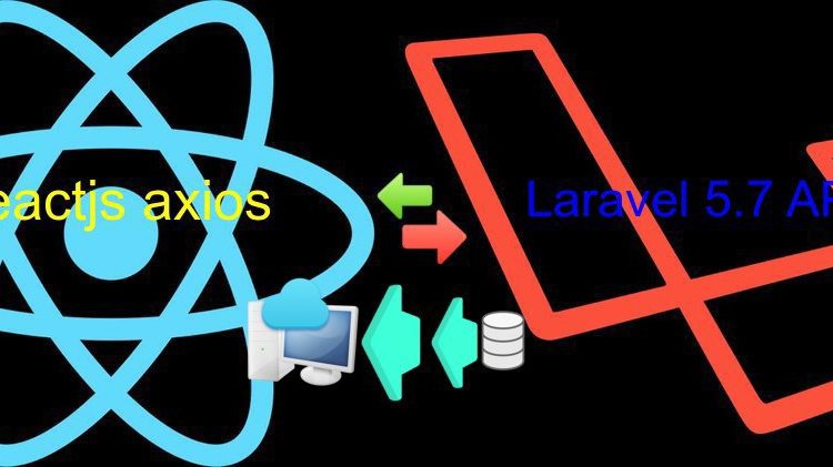 reactjs with laravel api call