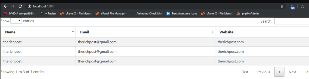 Angular 9 Datatables Working Example