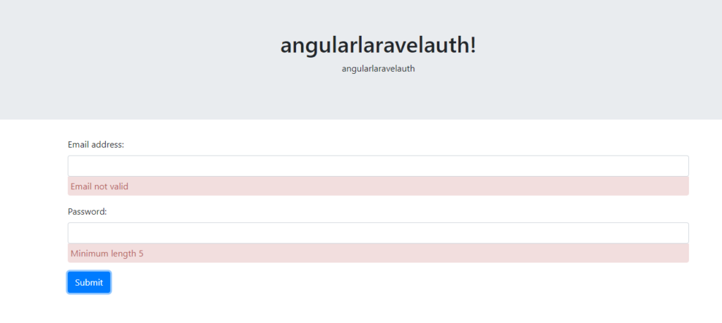 Angular Laravel Auth Login form validation