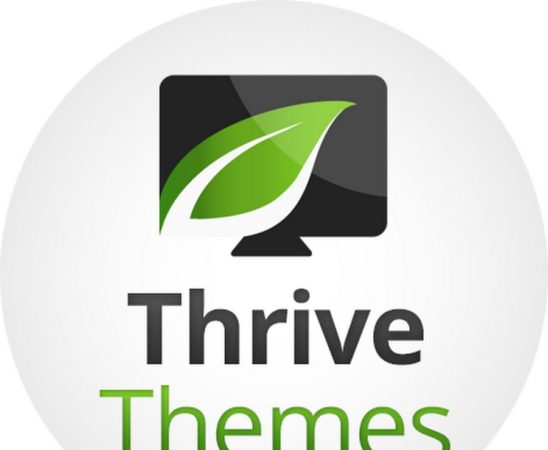 Where To Put Adsense Code Thrive Themes for Beginners