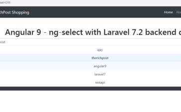 angular 9 ng select laravel data
