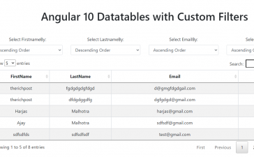 Angular 10 Datatables with Custom Filters