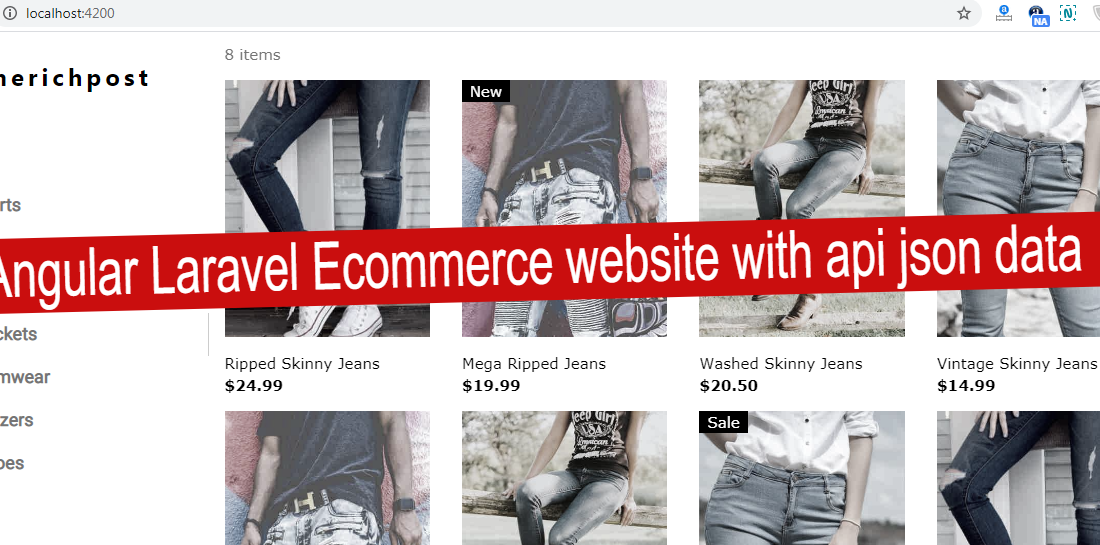 Angular laravel Ecommerce website