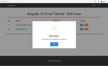 Angular 10 Crud Tutorial - Edit User