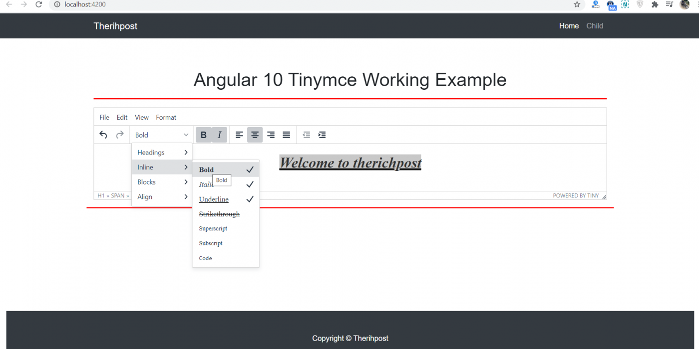 Angular 10 Tinymce Working Example