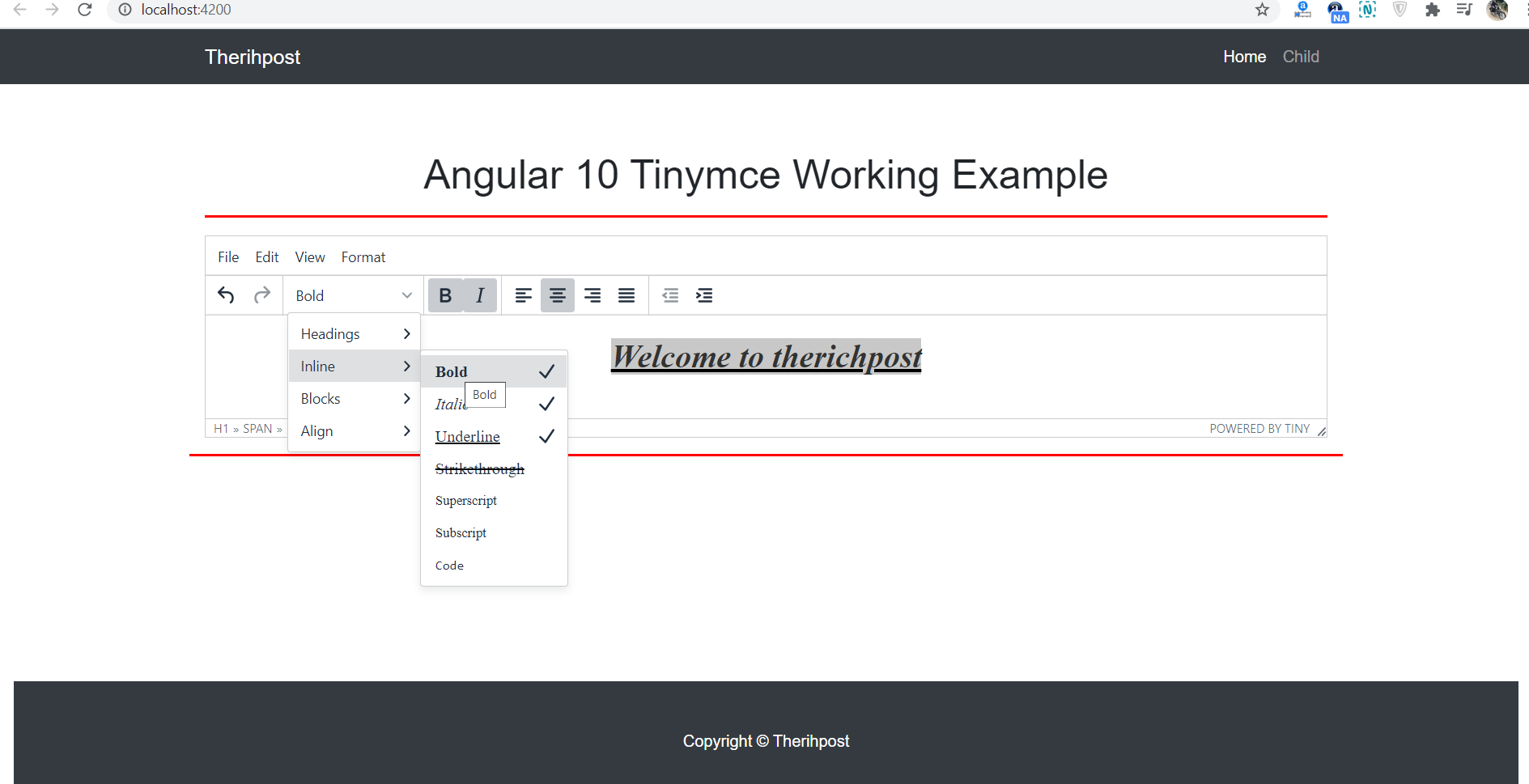 Angular 10 Tinymce Working Example