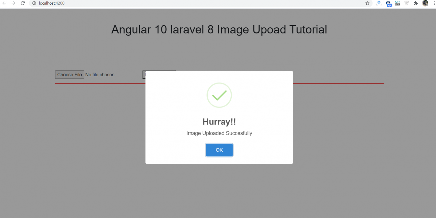 Angular 10 Laravel 8 Image Upload Tutorial