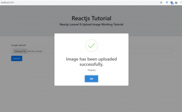 Reactjs Laravel 8 Image Upload Working Tutorial