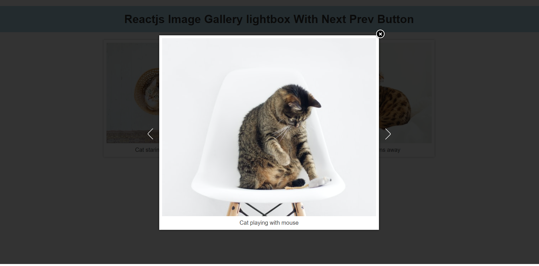 Reactjs Image Gallery Lightbox with Next Prev Button
