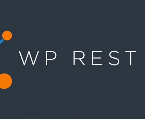 Wordpress rest api to get custom post type posts