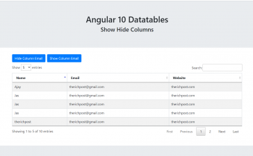 Angular 10 Datatable Show Hide Column Working Demo with Source Code