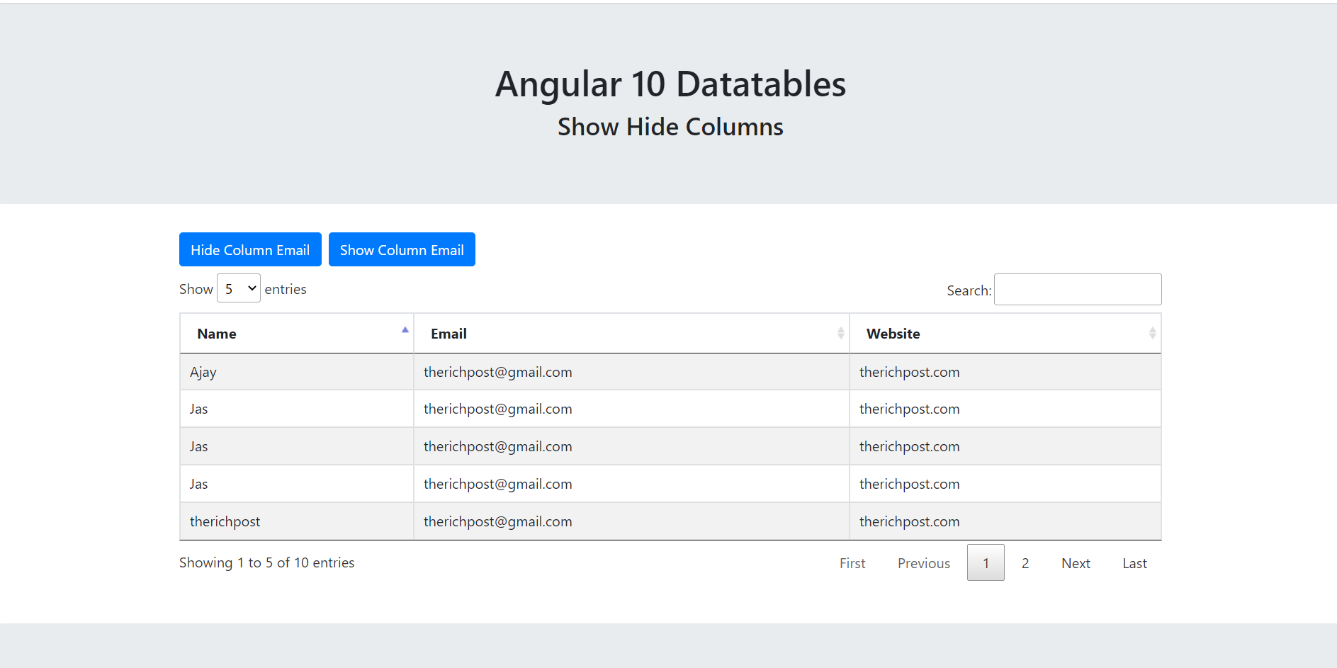 Angular 10 Datatable Show Hide Column Working Demo with Source Code