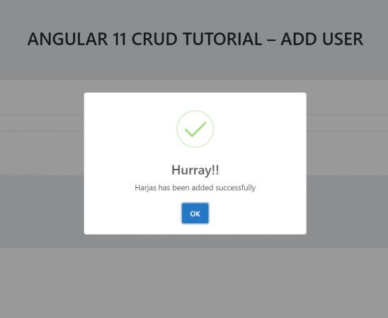 Angular 11 Crud Tutorial - Add User