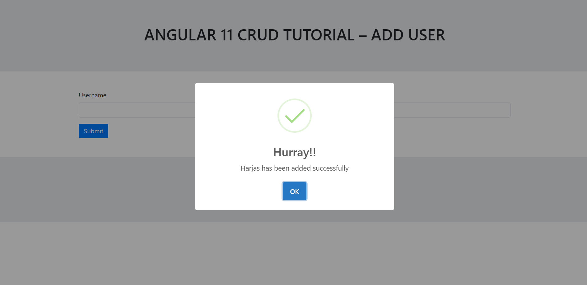 Angular 11 Crud Tutorial - Add User