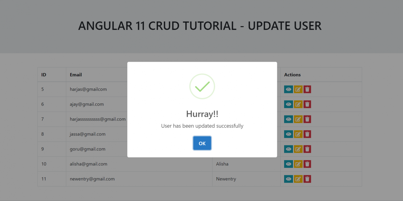 Angular 11 Crud Tutorial - Update User