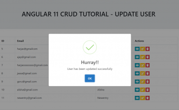 Angular 11 Crud Tutorial - Update User