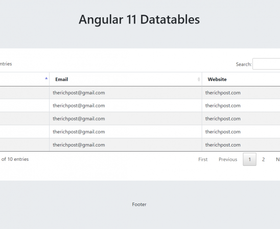 Angular 11 Datatable Working Example