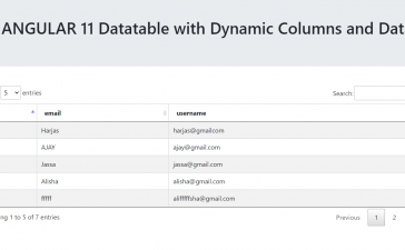 Angular 11 Datatable with Dynamic Columns and Data