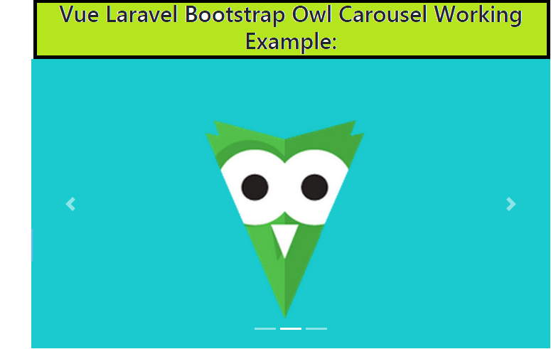 Vue Laravel 8 Bootstrap 4 Owl Carousel Working Example