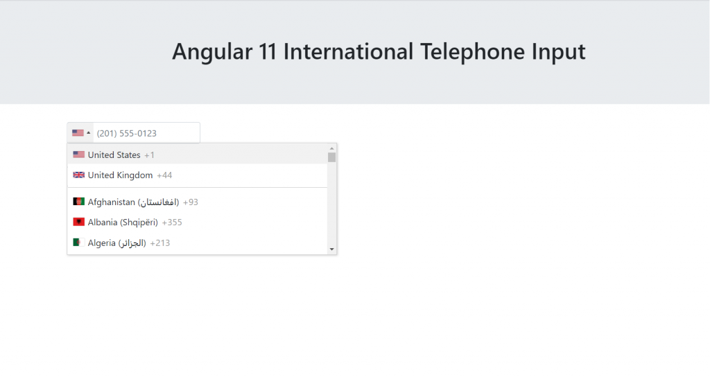 Angular 11 International Telephone Input