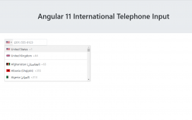 Angular 11 International Telephone Input