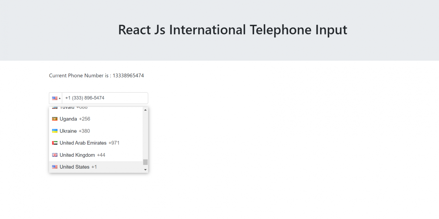 Reactjs International Telephone Input