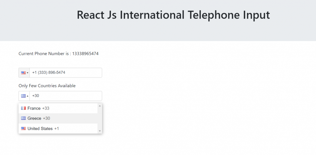 Reactjs International Telephone Input with few countries