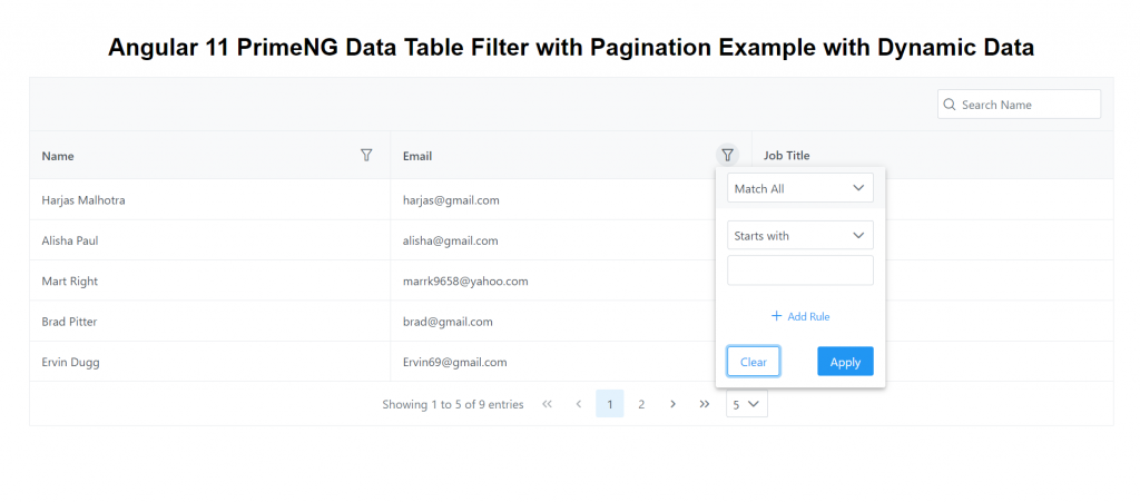 Angular 11 PrimeNG Data Table Filter Pagination Working Example with Dynamic Data