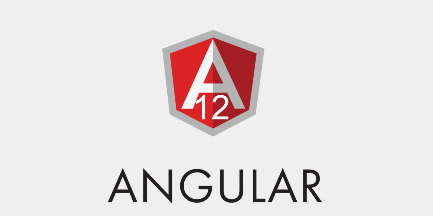 How to update angular version to 12?