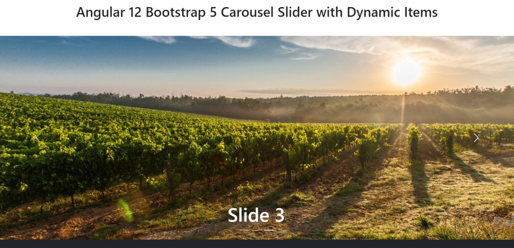 Angular 12 Bootstrap 5 Carousel Slider Working with Dynamic Data