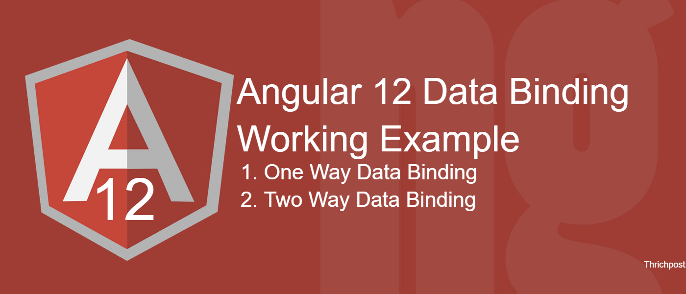 Angular 12 Data Binding Working Tutorial