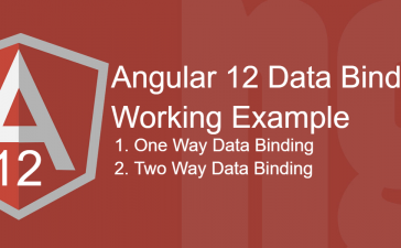 Angular 12 Data Binding Working Tutorial