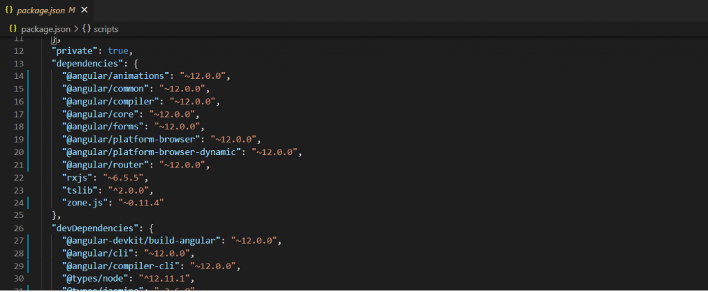 Angular 12 Package Json file