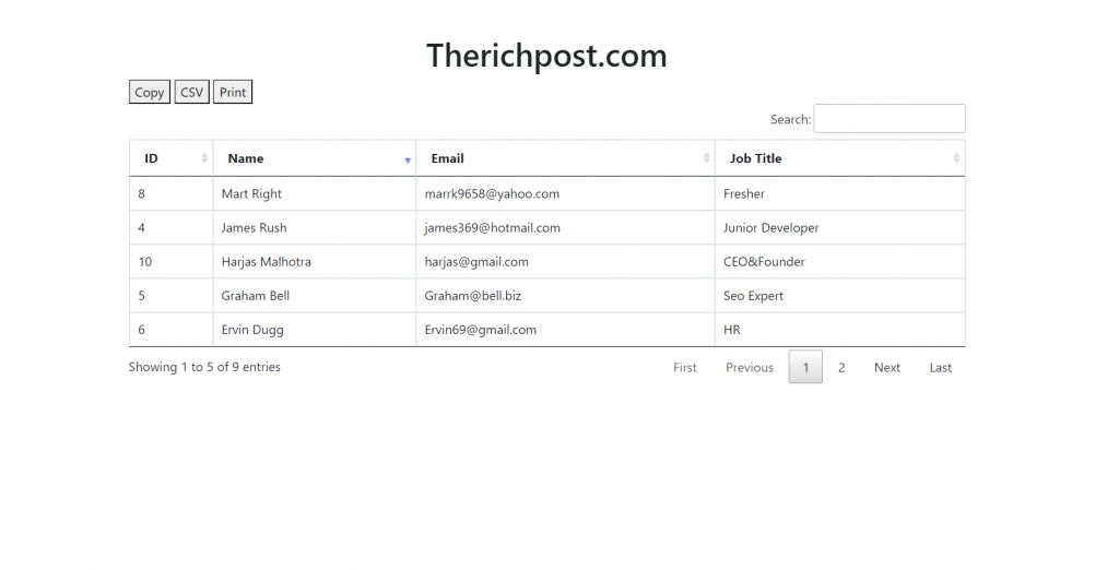 Vue 3 Datatable with Export Buttons Print Csv with Data – Therichpost