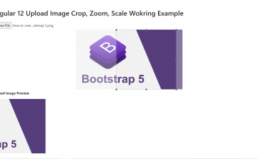 Angular 12 Bootstrap 5 Image Crop, Zoom, Scale Working Functionality