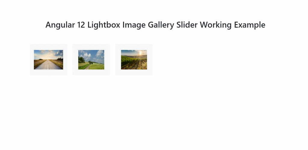 Angular 12 Lightbox Image Gallery Slider Working Example