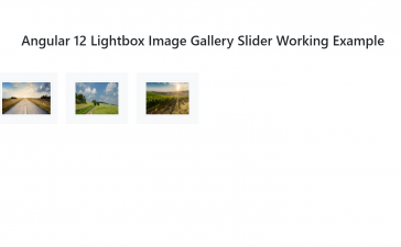 Angular 12 Lightbox Image Gallery Slider Working Example