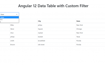 Angular 12 Table Data with Custom Filters