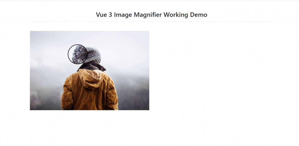 Vue 3 Image Magnifier Working Functionality