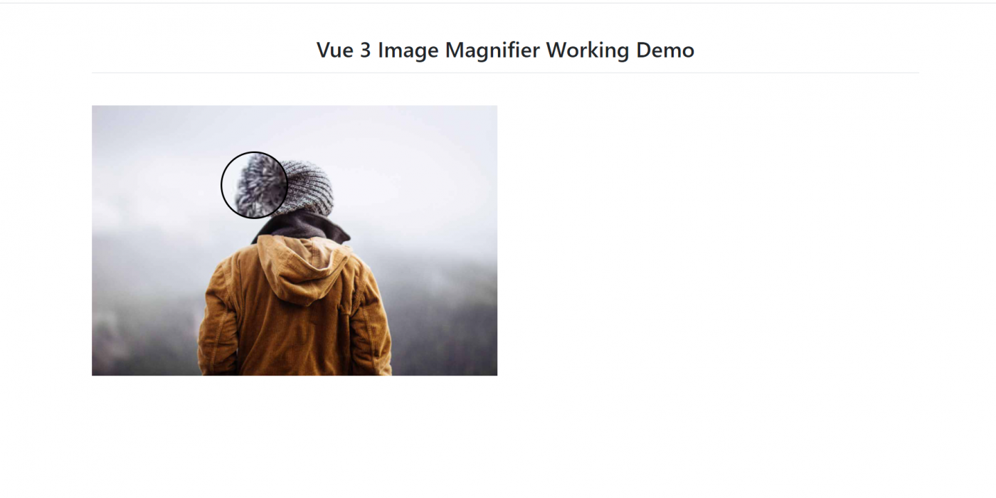Vue 3 Image Magnifier Working Functionality