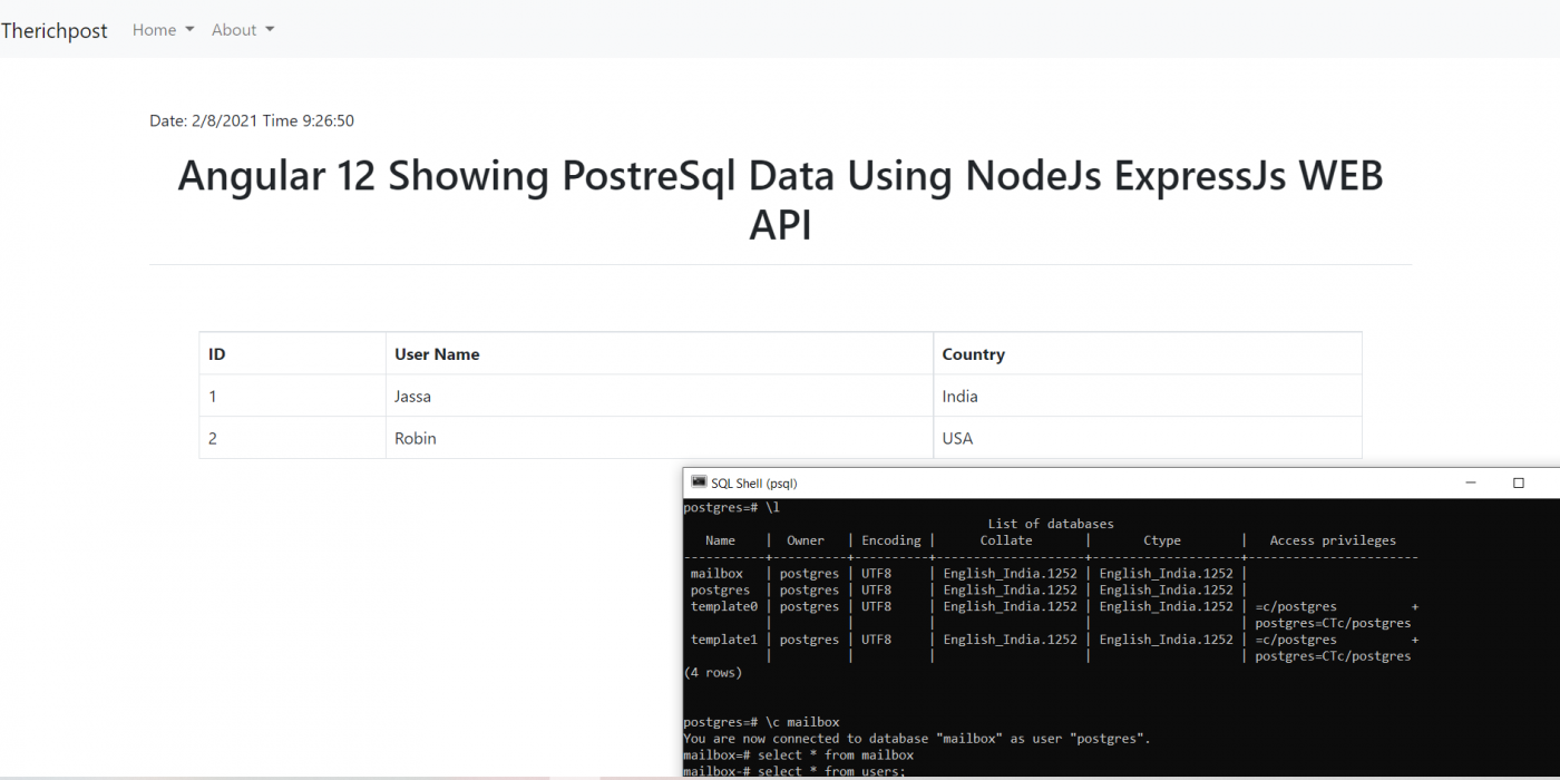 Angular 12 Showing PostgreSQL Data Using NodeJS Express WEB API