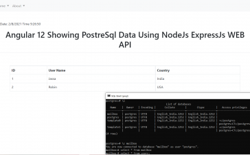 Angular 12 Showing PostgreSQL Data Using NodeJS Express WEB API