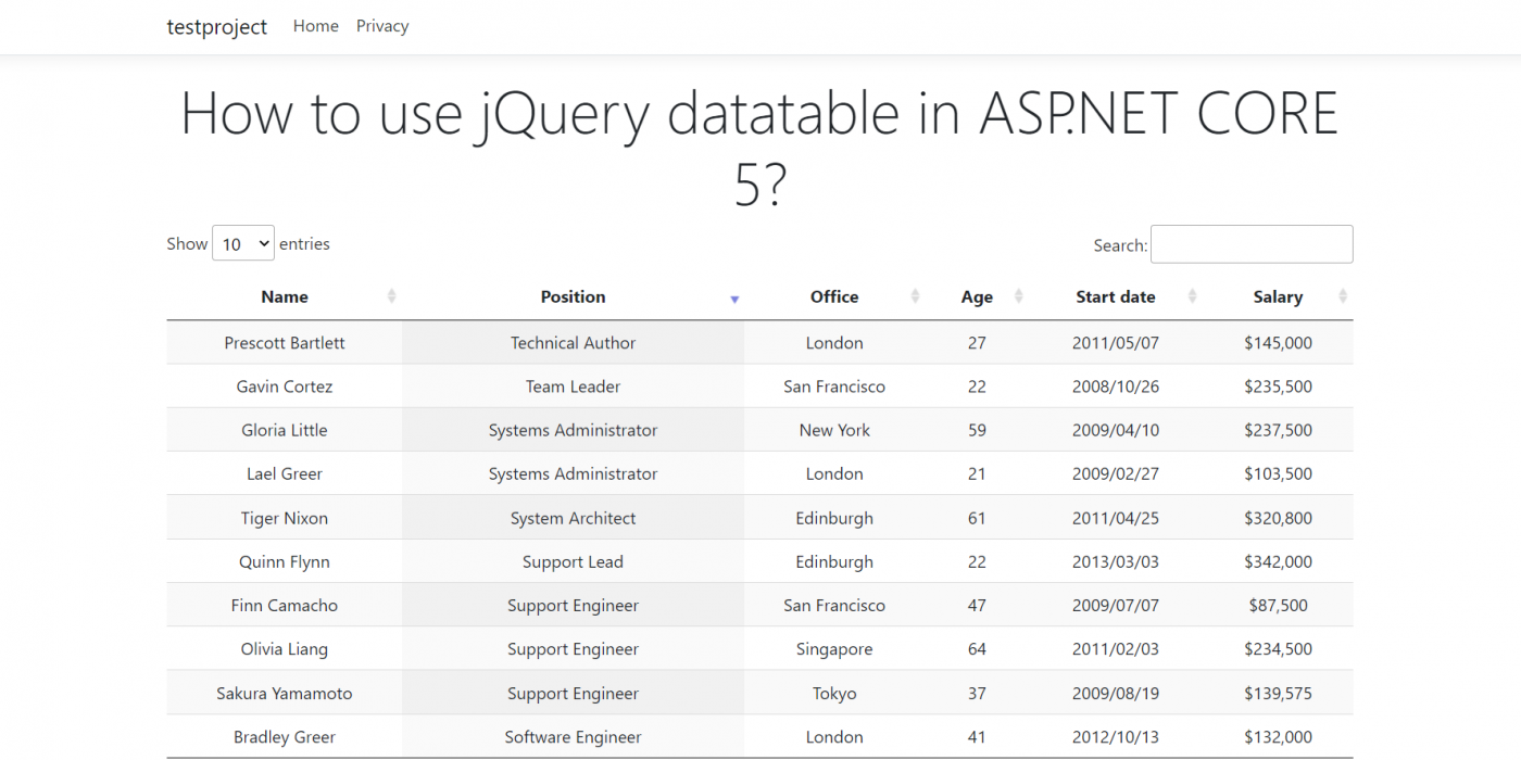 How to use jQuery Datatable in ASP.NET CORE 5?