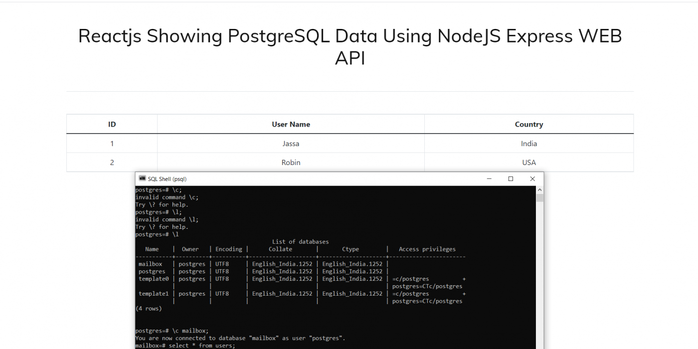 Reactjs Showing PostgreSQL Data Using NodeJS Express WEB API