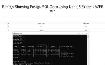 Reactjs Showing PostgreSQL Data Using NodeJS Express WEB API