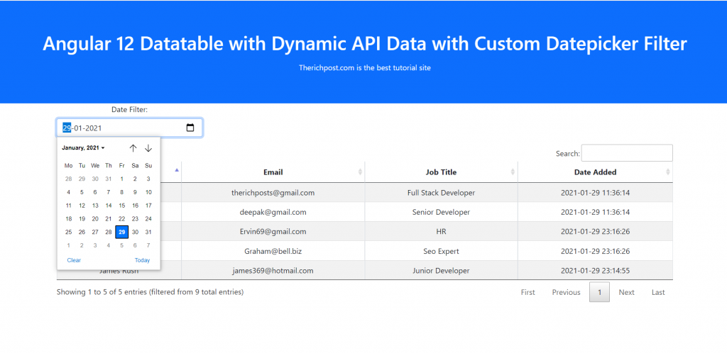 Angular 12 Datatable with Dynamic API Data with Custom Datepicker Filter