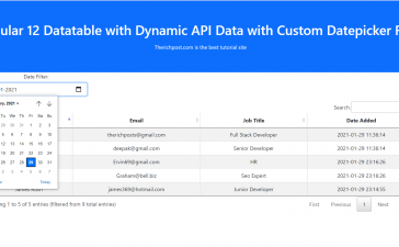 Angular 12 Datatable with Dynamic API Data with Custom Datepicker Filter