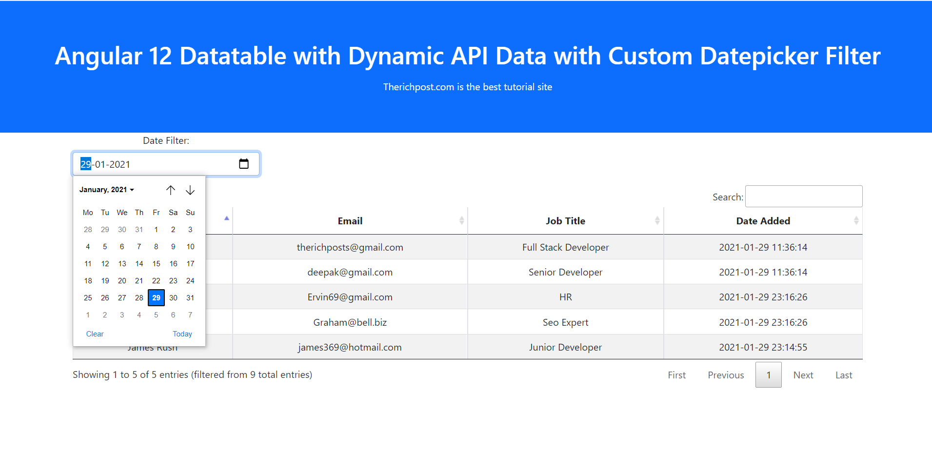 Angular 12 Datatable with Dynamic API Data with Custom Datepicker Filter