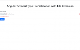 Angular 12 Input type File Validation with File Extension Type